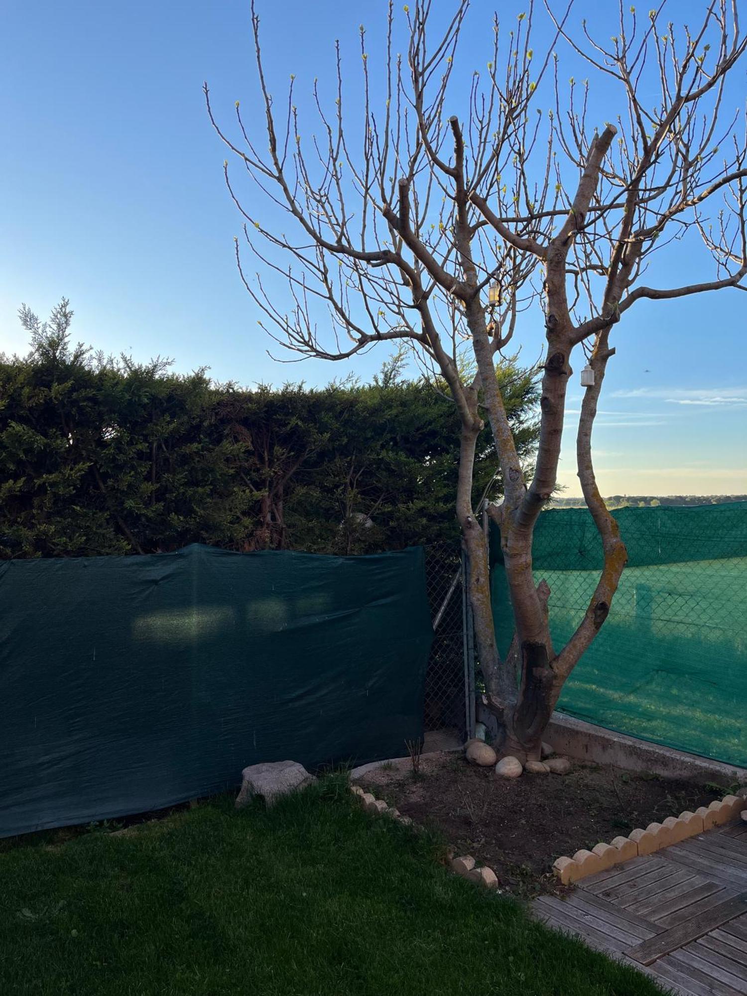Aldeamayor de San MartinLa Casa Del Cipres别墅 外观 照片